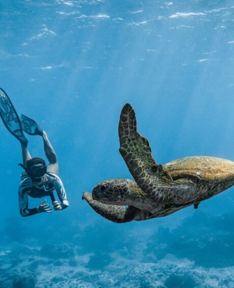 View things to do on the Cocos Islands